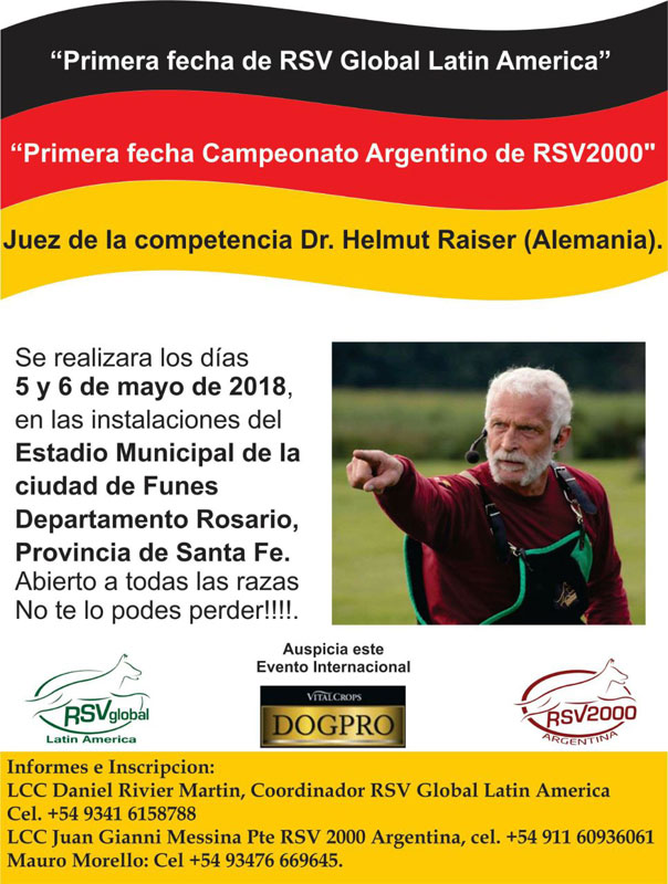 Campeonato Argentino de RSV2000